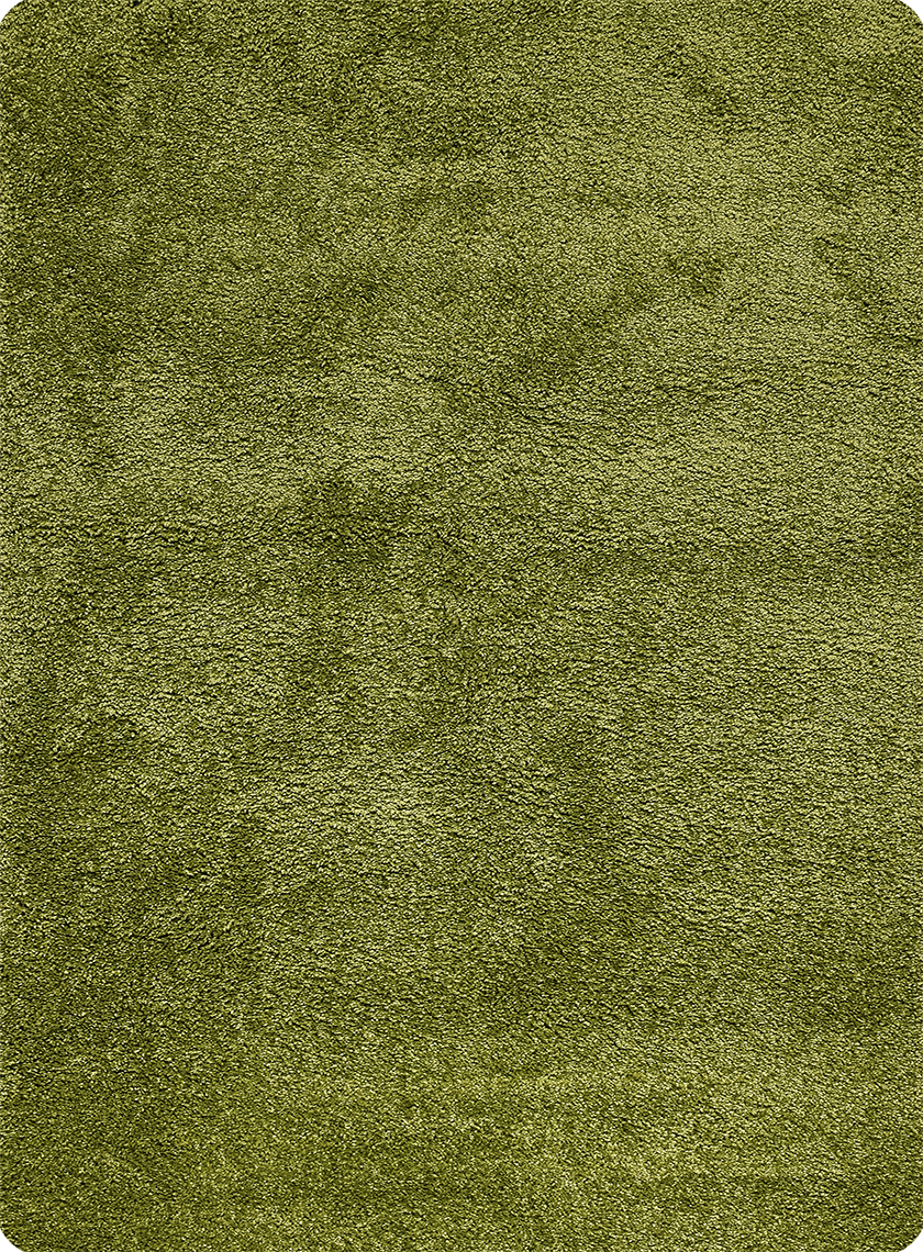 картинка shp R 6 магазин являющийся официальным дистрибьютором в России 