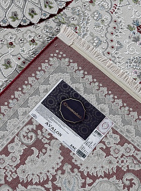 картинка 38861A STAN RED / RED магазин являющийся официальным дистрибьютором в России 