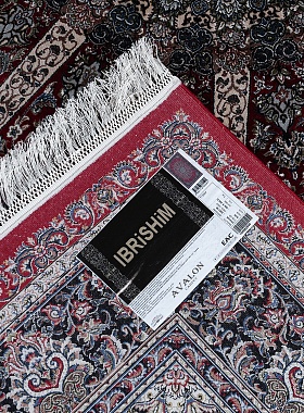 картинка 39811B STAN RED / RED магазин являющийся официальным дистрибьютором в России 