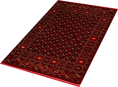 картинка 35002B STAN RED / RED магазин являющийся официальным дистрибьютором в России 