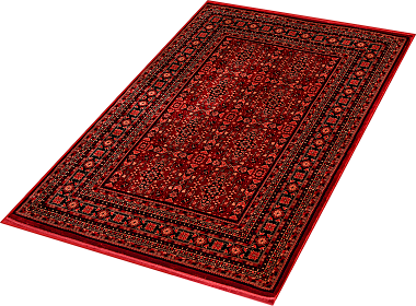 картинка 40290A STAN RED / RED магазин являющийся официальным дистрибьютором в России 