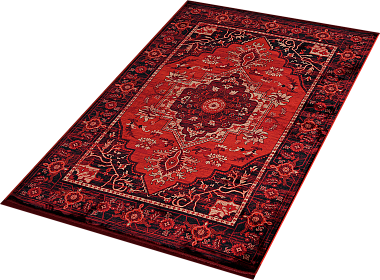 картинка 40293B STAN RED / BLACK магазин являющийся официальным дистрибьютором в России 