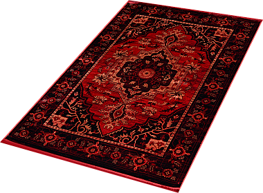 картинка 40293B STAN RED / BLACK магазин являющийся официальным дистрибьютором в России 