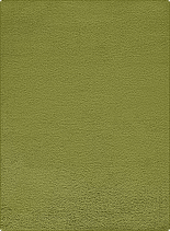 11000 stan 20